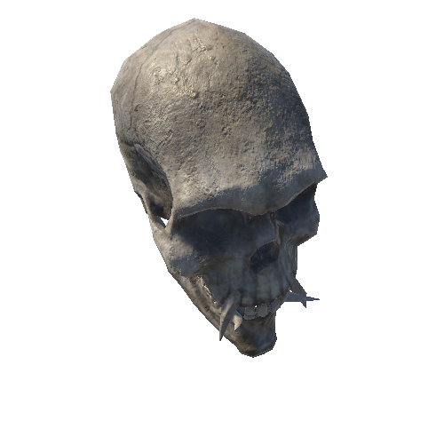 Skull_1