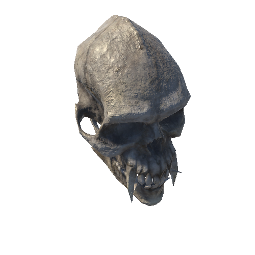 Skull_2