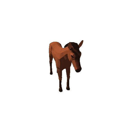 Horse_foal_RM