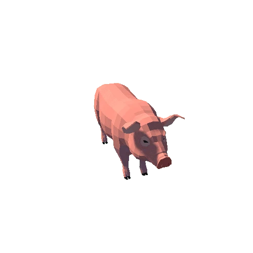 LowPoly_Pig_9