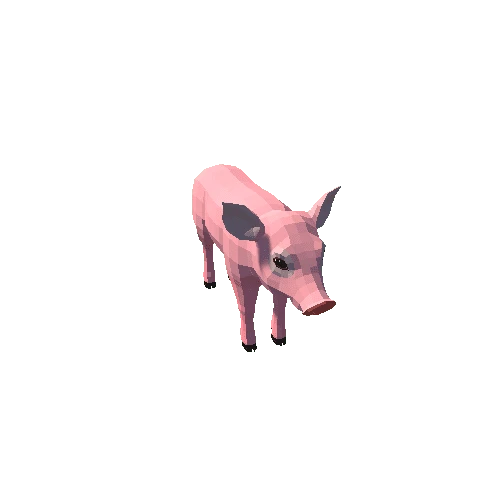 LowPoly_Piggy_3