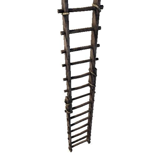 SM_Ladder_02