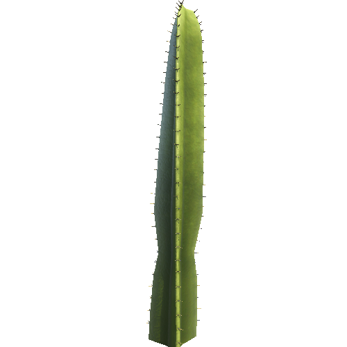 SM_Cactus_003