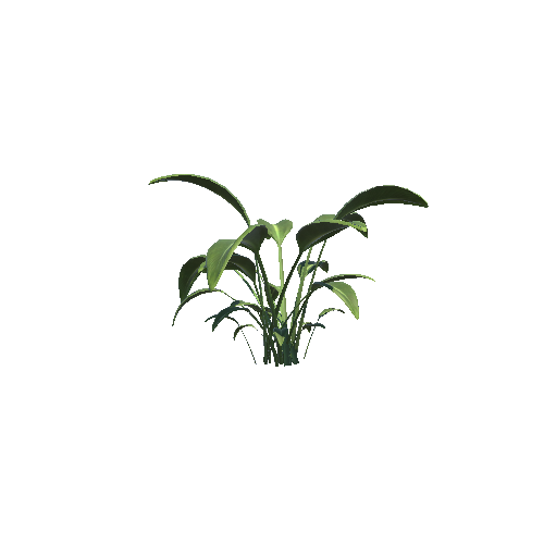 SM_Plant_003