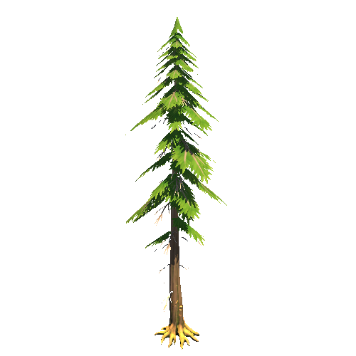 PF_ConiferTree_1_1