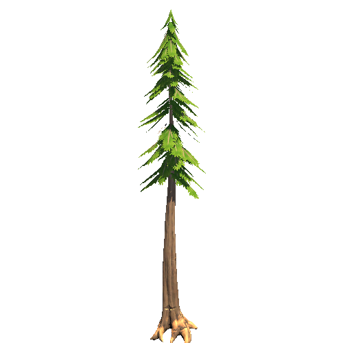 PF_ConiferTree_4_1