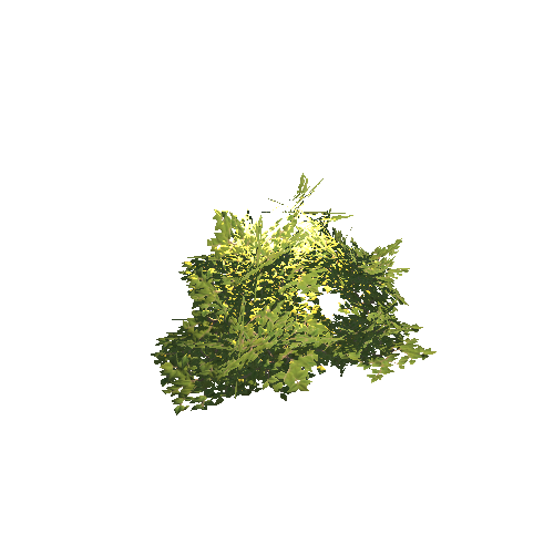 PF_Foliage_LargeBush2_1