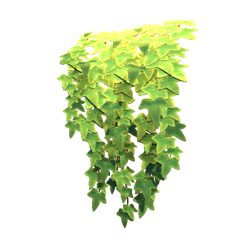 PF_Ivy_Clump_2_1