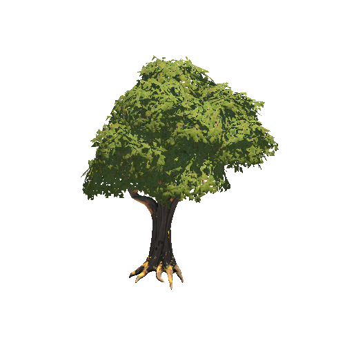 PF_TallTree_1_1