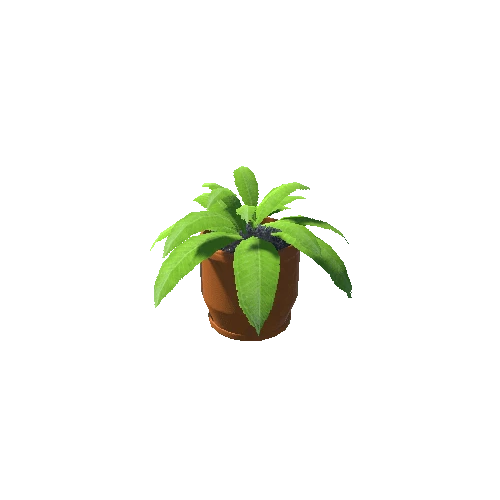 PlantVase2