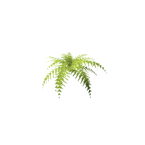 SM_Plant6