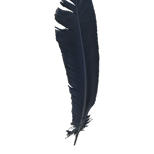 Feather