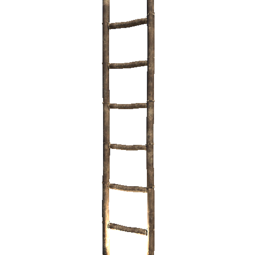 WoodenLadder