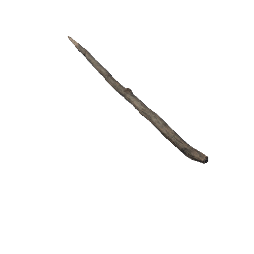 WoodenSpear