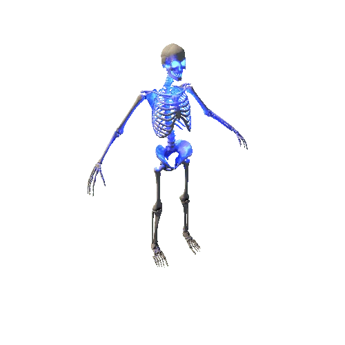 Skeleton_Glow_2