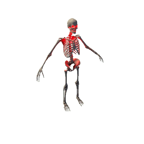 Skeleton_Glow_4