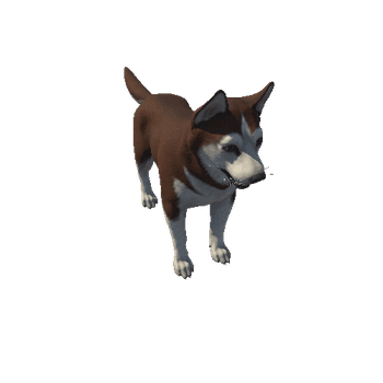 Husky_HighPoly_c2