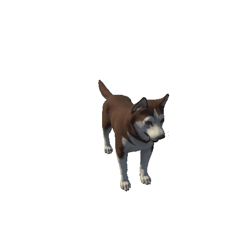 Husky_HighPoly_c2