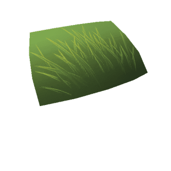 06Grass2