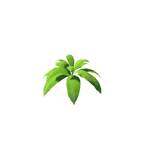 SM_Plant2