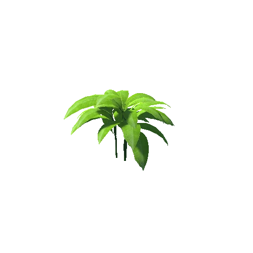 SM_Plant3