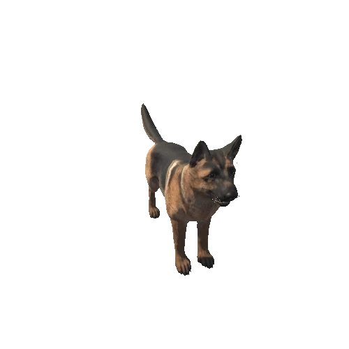 Shepherd_HighPoly