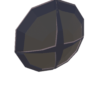 RW_LP_PRP_Weapon_Shield.003