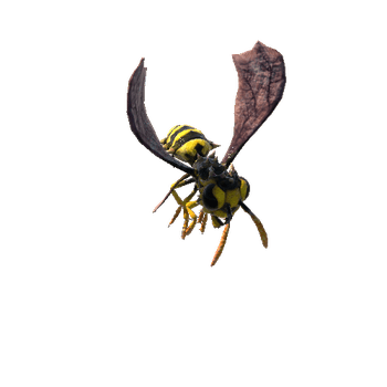 HornedBatWasp