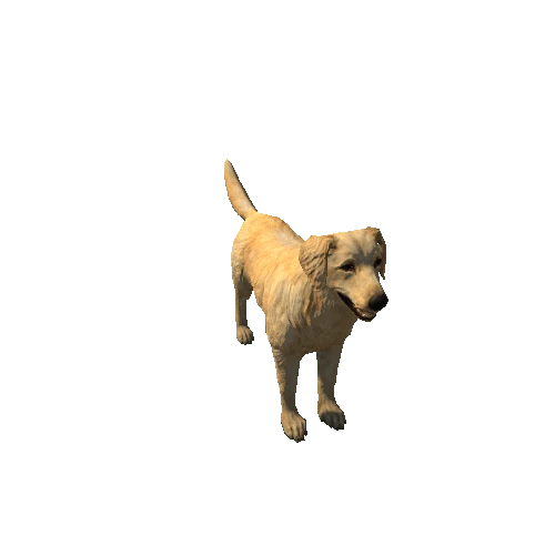 G_Retriever_LowPoly