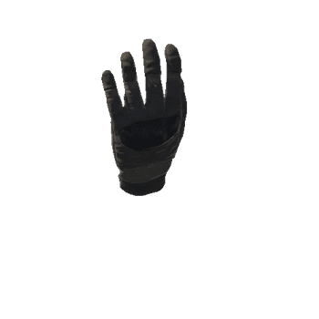 SK_Glove_L_Rigged