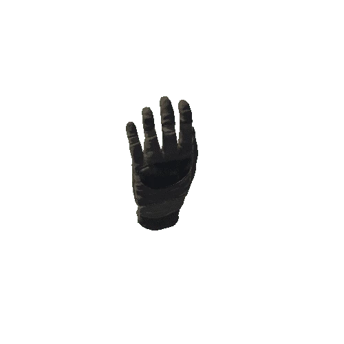 SK_Glove_L_Rigged