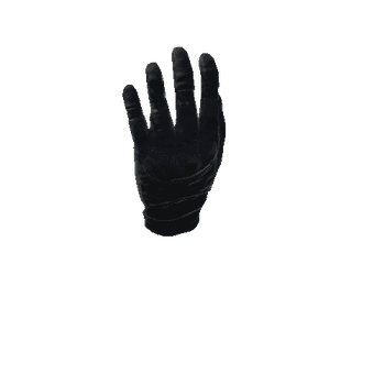 SK_Glove_L_Rigged_Black