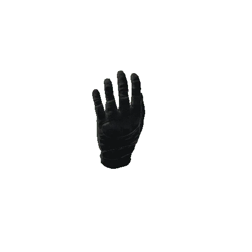 SK_Glove_L_Rigged_Black