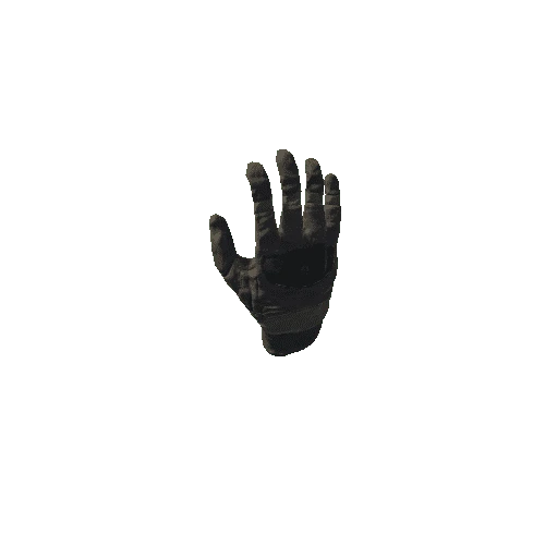 SK_Glove_R_Rigged