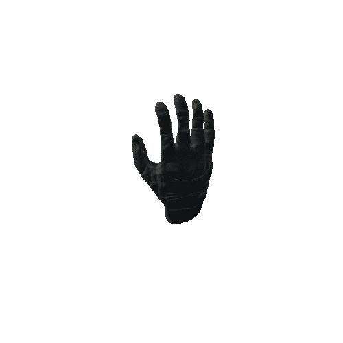 SK_Glove_R_Rigged_Black