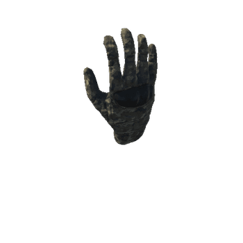 SK_Glove_R_Rigged_Camo