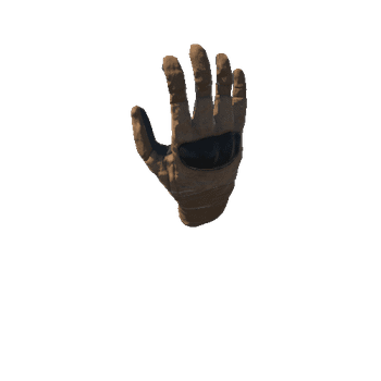 SK_Glove_R_Rigged_Desert