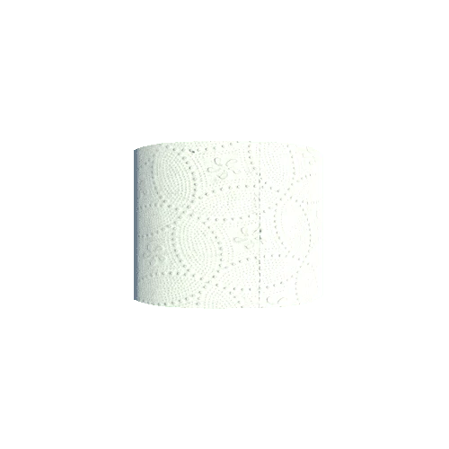 ToiletPaper