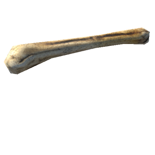 Bone_3