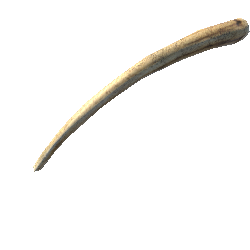 Bone_5