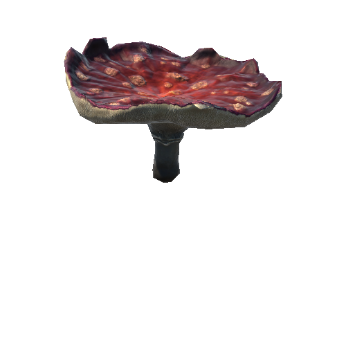Mushroom5_1