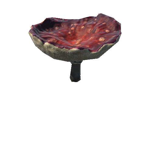 Mushroom5_2