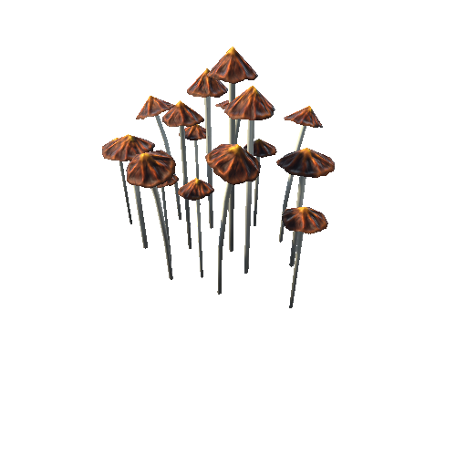 Mushroom7G_3