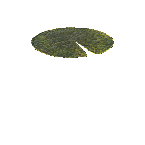 SwampWaterLily_1