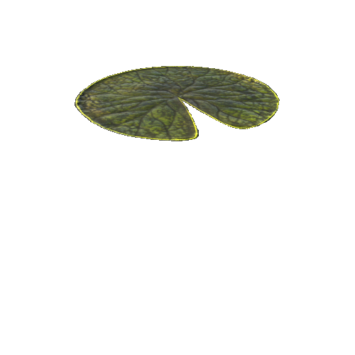 SwampWaterLily_2