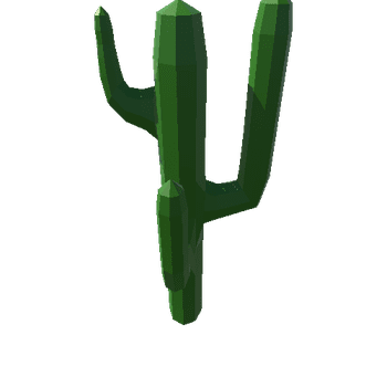 Cactus_1