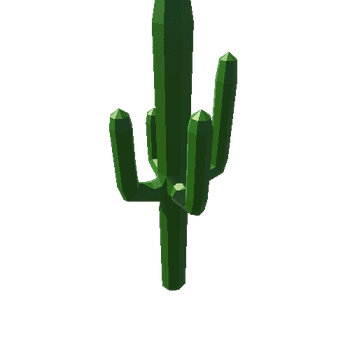 Cactus_3