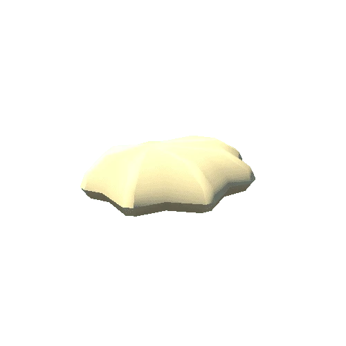 sea_shell