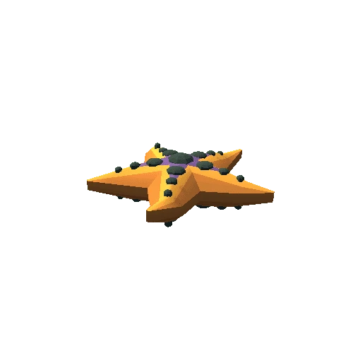 star_fish_1