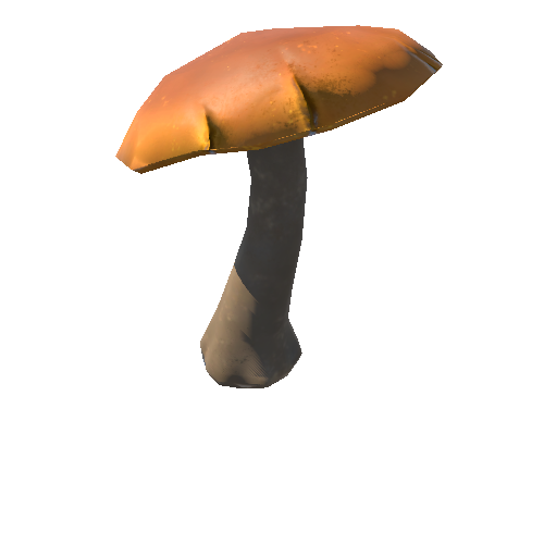 Mushroom01_1